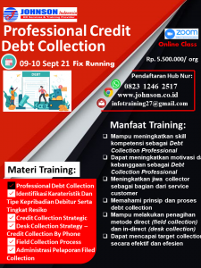 Professional-Credit-Debt-Collection.png